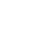 NodePulse Logo