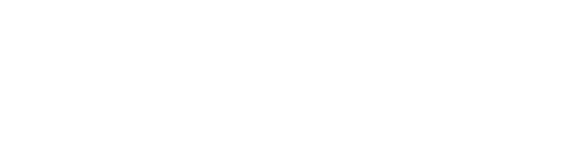 NodePulse Logo